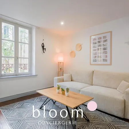 Vieille 4 Personnes Apartment Nancy